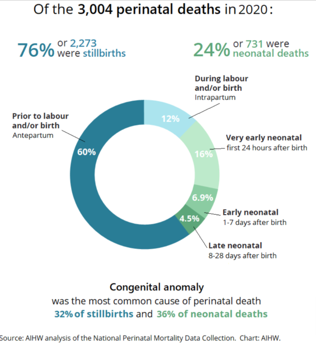 2020 Australian Perinatal Deaths Chart- Source AIHW