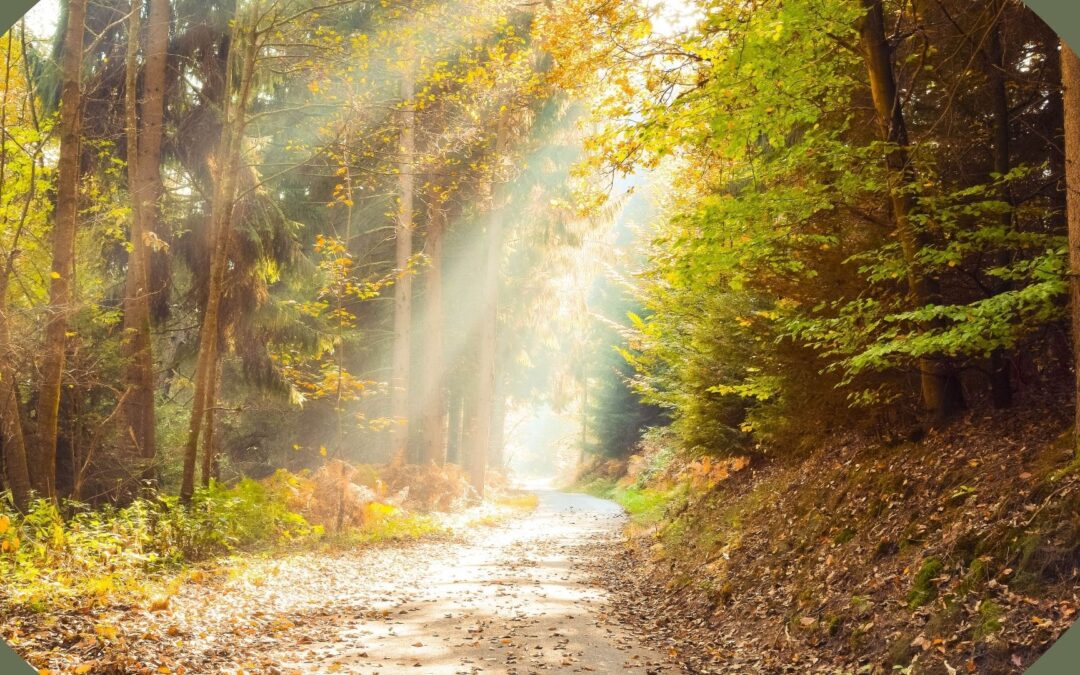 Walking the Fertile Path: Embracing the Seasons of Creation